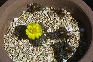 201103-IMGP6766