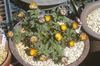 201103-IMGP6769