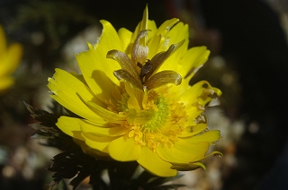 201103-IMGP6772