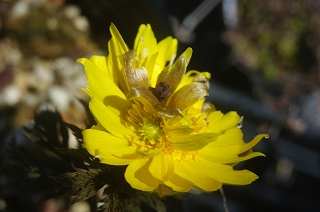 201103-IMGP6775