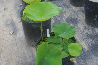 201206-IMGP2372