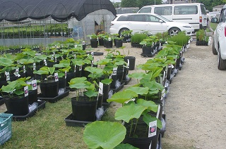 201206-IMGP2397