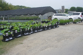 201206-IMGP2398
