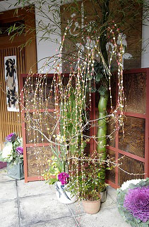 18年12月31日 正月飾りに協力 正月に飾る 餅花 を考えています 石田精華園 園主の日記