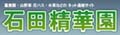 山野草・水生植物・富貴蘭の販売なら石田精華園へ