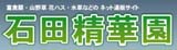 山野草・水生植物・富貴蘭の販売なら石田精華園へ
